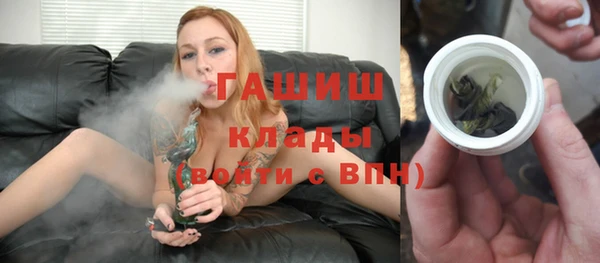 PSILOCYBIN Алзамай
