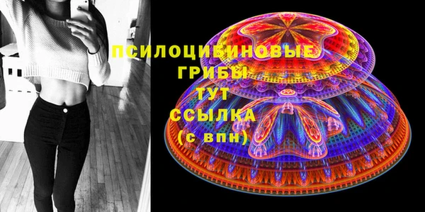 PSILOCYBIN Алзамай