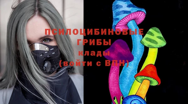 PSILOCYBIN Алзамай