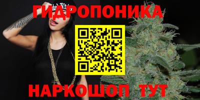 крисы Апрелевка