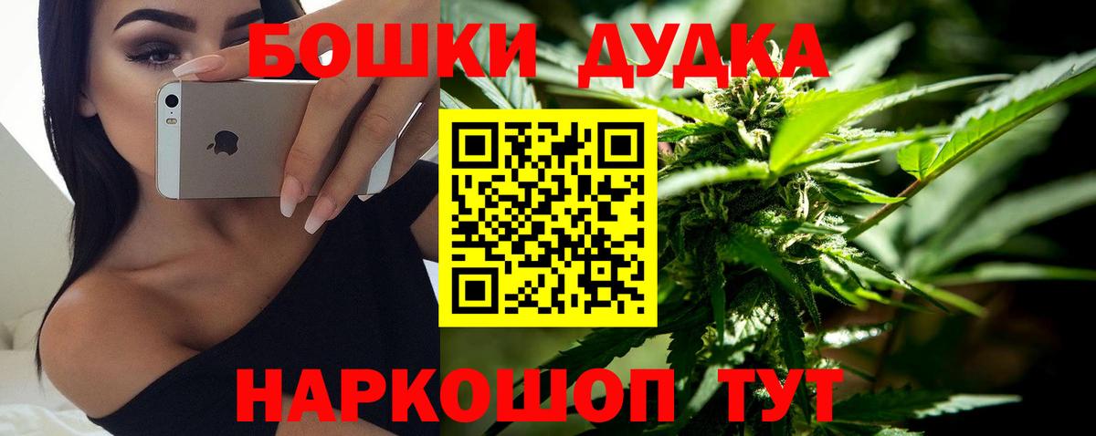 Конопля конопля Асино
